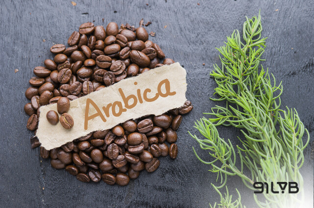 Cà phê Arabica còn có tên gọi khác là Cà phê Chè