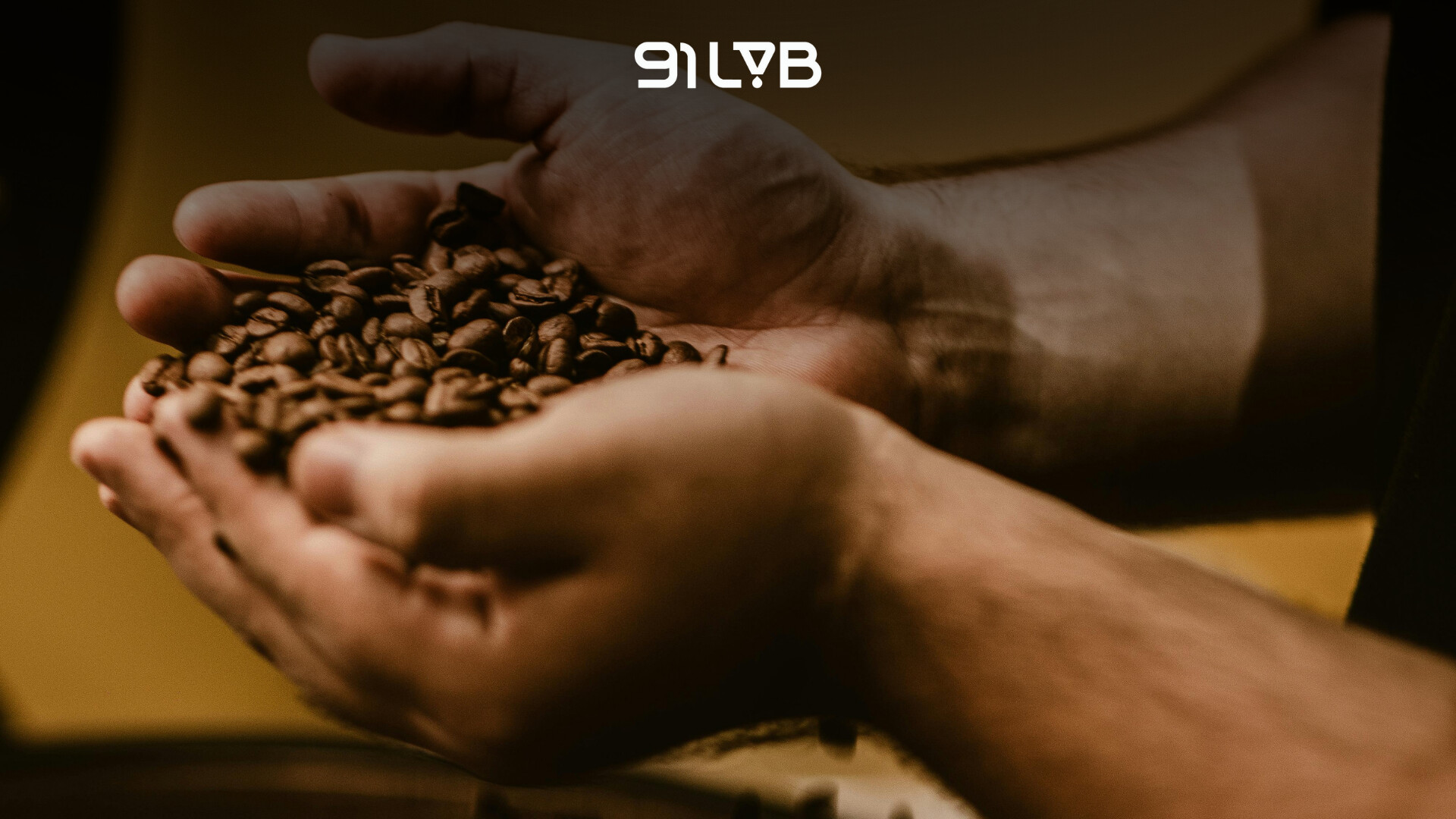 Cà phê Robusta đậm đà bản sắc
