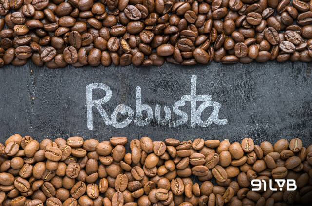 Cà phê Robusta hay còn gọi là Cà phê Vối