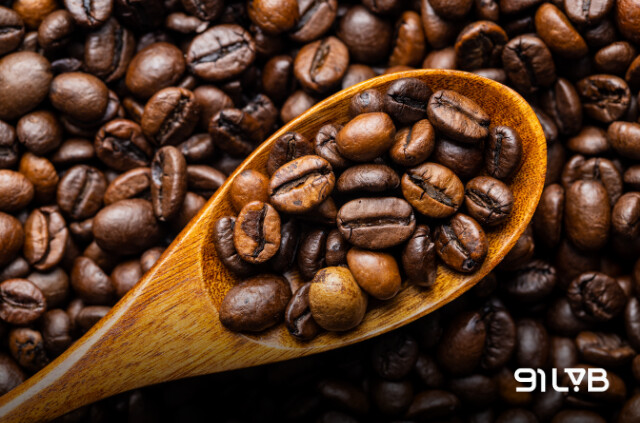 Cà phê Robusta loại cà phê được trồng phổ biến nhất và có hàm lượng caffeine cao