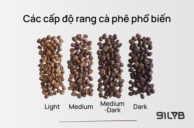 Mức rang Medium hoặc Medium-Dark đóng vai trò như một bộ lọc hương vị, giúp phân hủy bớt các acid hữu cơ sắc sảo