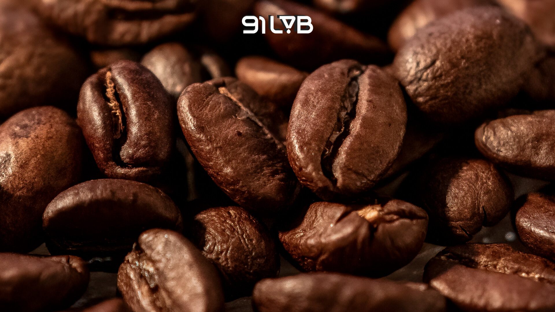 Mua cà phê Arabica ở đâu?