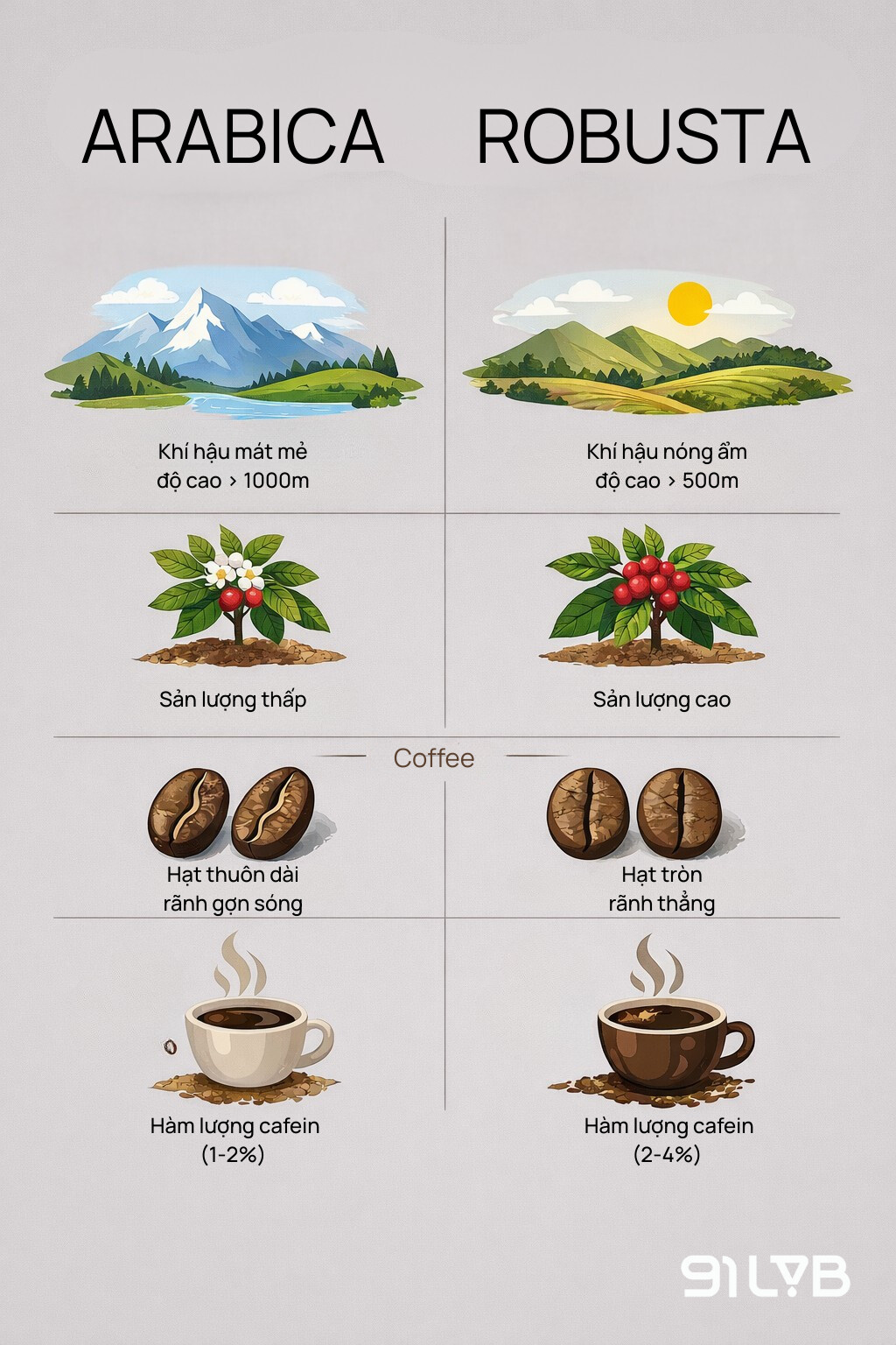 Những đặc tính riêng biệt của cà phê Robusta và Arabica