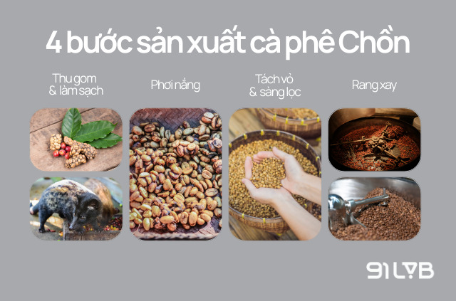 Quy trình sản xuất cà phê Chồn hiện nay