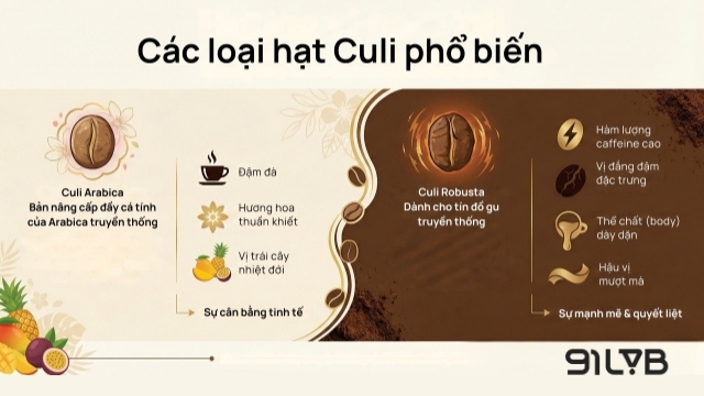 Thế giới cà phê Culi là sự chắt lọc tinh túy từ các giống cây mẹ, trong đó phổ biến nhất là Culi Arabica và Culi Robusta
