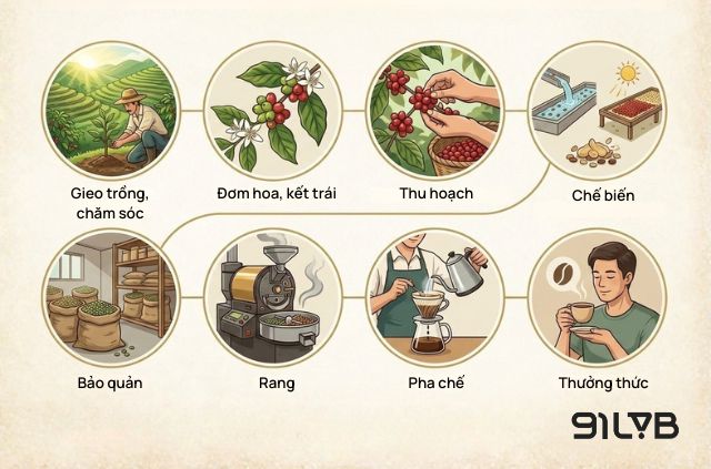 Hành trình từ Nông trại đến Tách cà phê