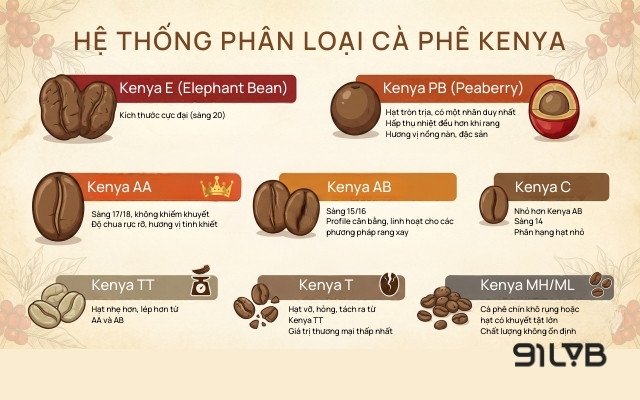 Kenya đã xây dựng một hệ thống phân loại vô cùng bài bản và có sức ảnh hưởng lớn tại Đông Phi