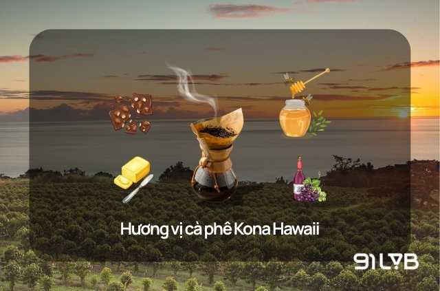 Cà phê Kona Hawaii nổi bật với hương vị mượt mà, độ chua sáng và body mịn mượt, cân bằng.