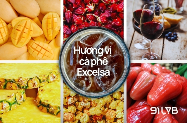 Excelsa sở hữu một bản sắc hương vị phong phú, nổi trội với vị chua thanh của trái cây nhiệt đới