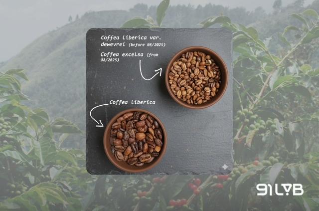 Cà phê Excelsa (tên khoa học: Coffea dewevrei) hiện đã được xác lập là một loài độc lập