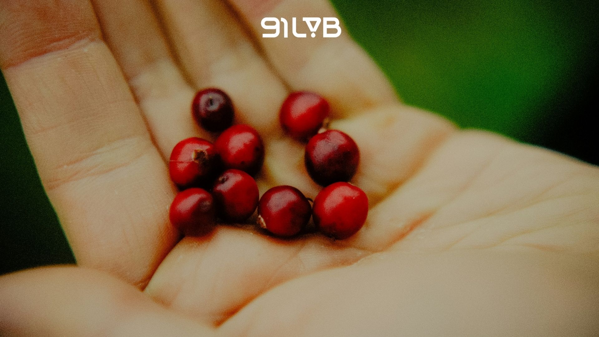 Tổng quan về specialty coffee