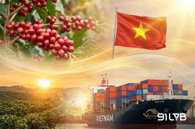 Specialty Coffee tại Việt Nam đang dần khẳng định mình trên bản đồ cà phê thế giới