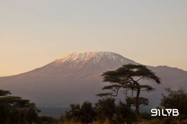Núi Kilimanjaro là nơi trồng những loại cà phê danh tiếng của Tanzania