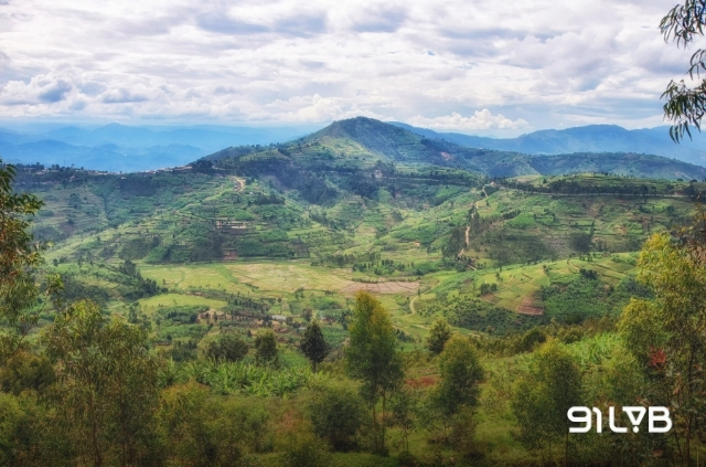 Địa hình núi cao đặc trưng tạo ra môi trường lý tưởng cho các giống Arabica ở Rwanda