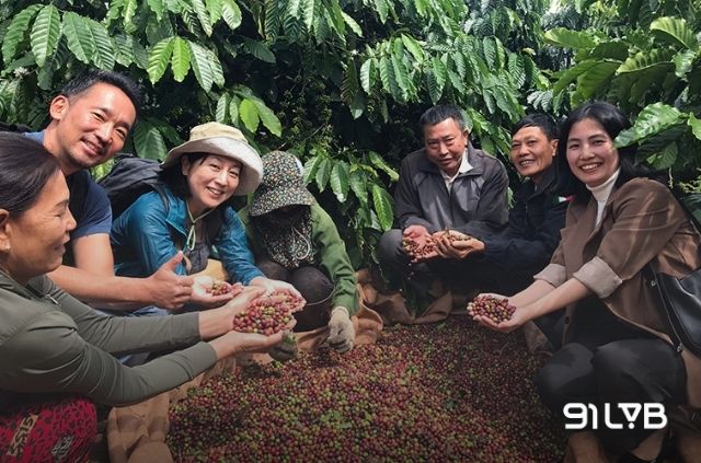 Việt Nam hiện là cường quốc xuất khẩu cà phê lớn thứ hai thế giới (sau Brazil) và đứng đầu về sản lượng hạt Robusta