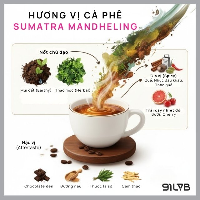 Sumatra Mandheling mang đến trải nghiệm cà phê chuẩn phong cách Indonesia