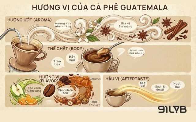 Tinh hoa đất núi lửa tạo nên cấu trúc dày mượt, vị cân bằng và hậu vị sạch