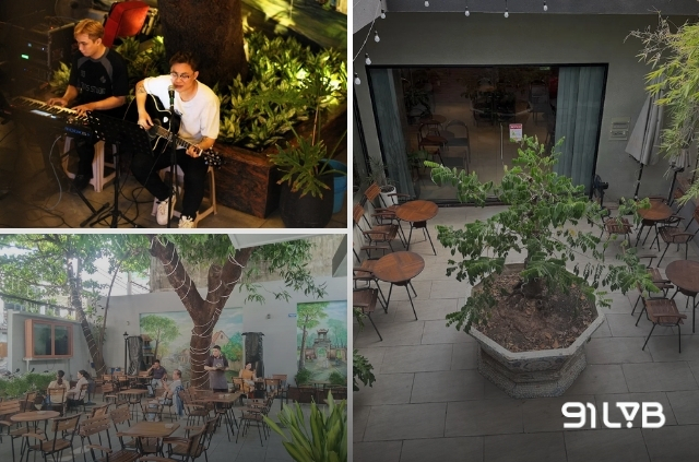 Không gian Ha Noi Café được thiết kế rộng rãi, tận dụng tốt ánh sáng và gió trời mang lại cảm giác dễ chịu cho người mới.