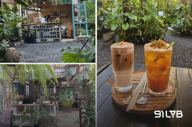 Không gian cà phê kiểng lá xanh mướt và góc workshop độc đáo tại Silver Cloud Garden.