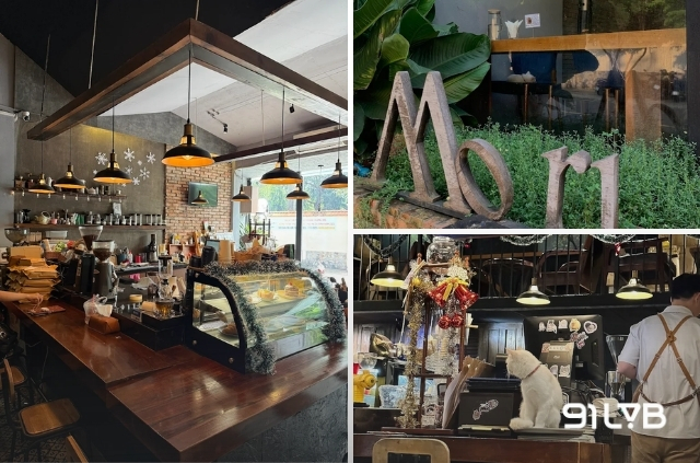 Quán cà phê Thảo Điền - Mori Coffee nổi bật với chất lượng hạt cà phê được tuyển chọn và rang xay kỹ lưỡng.