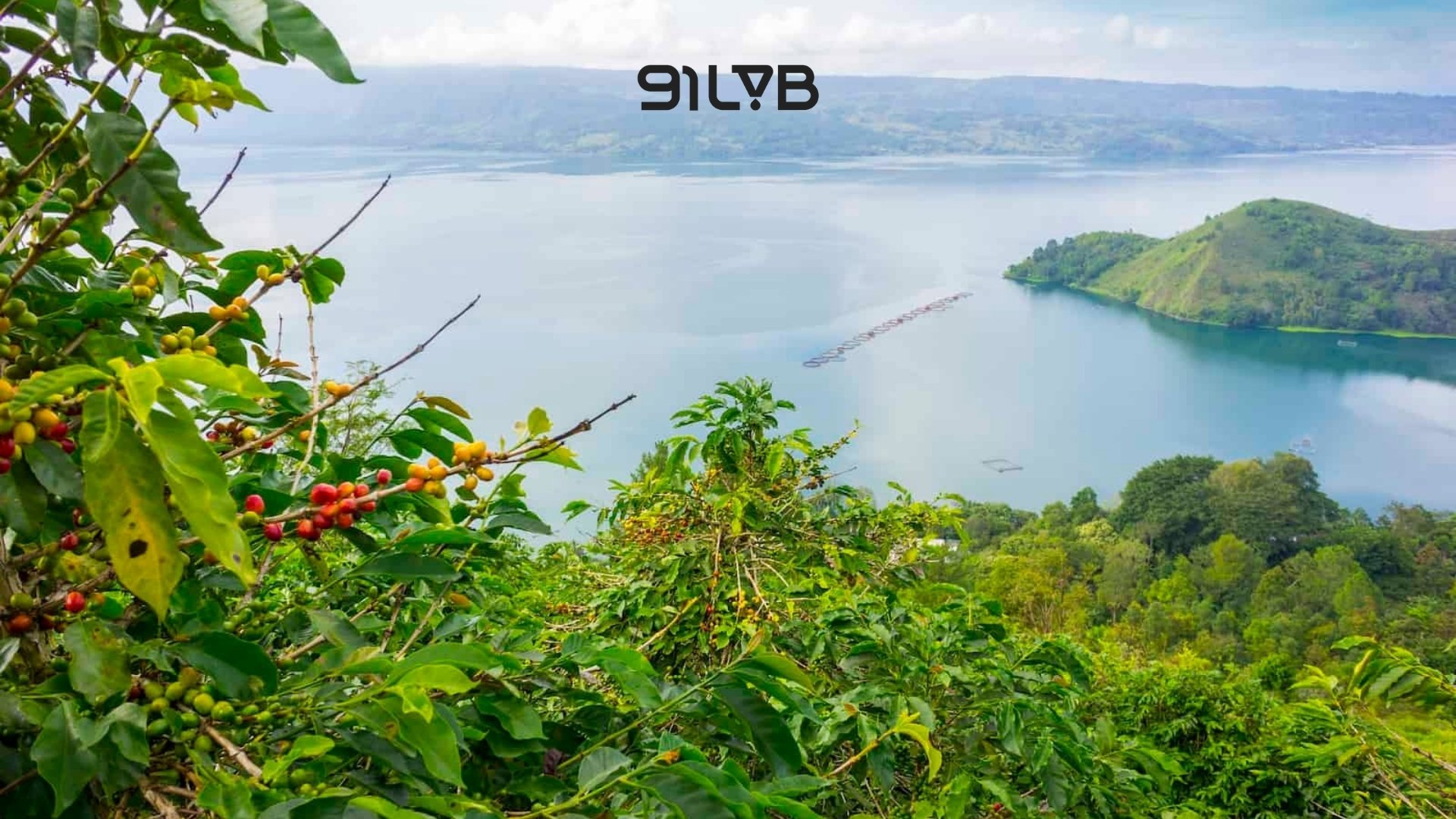 Cà phê Sumatra Mandheling