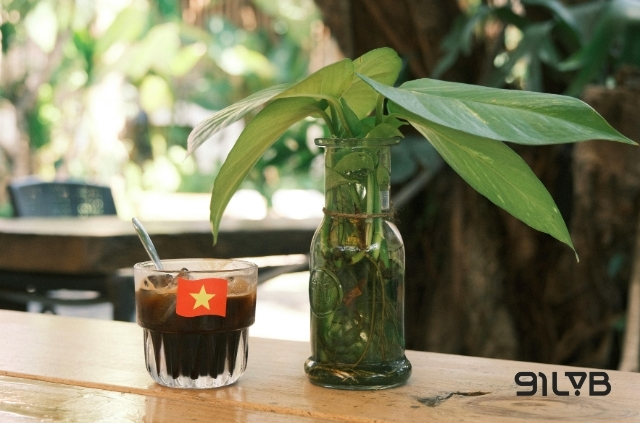 Cà phê Việt Nam đang có những bước chuyển mình mạnh mẽ để khẳng định vị thế