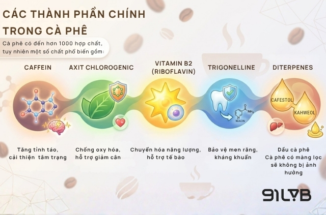 Các thành phần chính trong cà phê