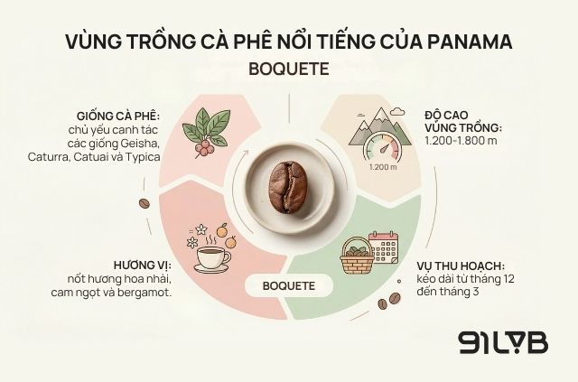 Boquete là vùng trồng nổi tiếng và đắt giá nhất tại tỉnh Chiriqui.