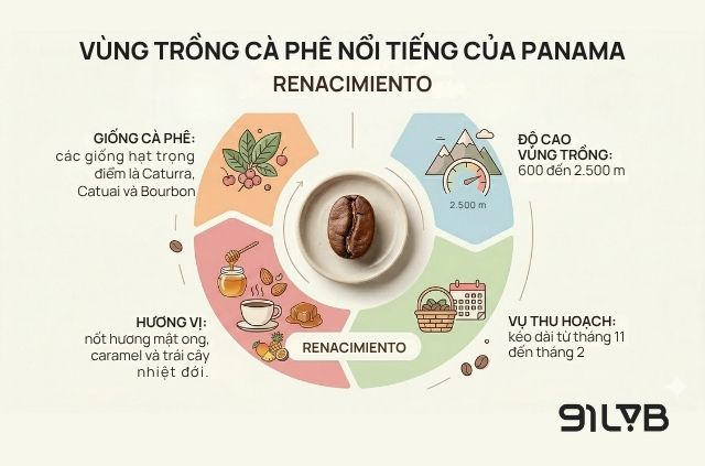 Volcán có cùng chất đất núi lửa màu mỡ nhưng điều kiện thời tiết lại mang một sắc thái hoàn toàn khác.