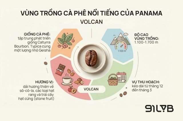 Volcán có cùng chất đất núi lửa màu mỡ nhưng điều kiện thời tiết lại mang một sắc thái hoàn toàn khác.