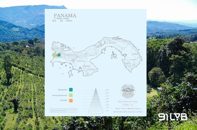 Bản đồ các vùng trồng cà phê nổi tiếng của Panama (Nguồn: Cafe Imports)