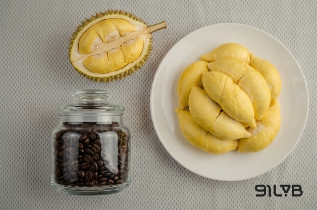 Nên chọn hạt cà phê Robusta và các loại sầu riêng chín cây để làm cà phê sầu riêng