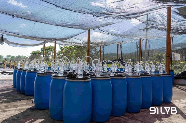 Trái cà phê nằm gọn trong các thùng kín hoặc túi nhựa, hoàn toàn cách ly với không khí.