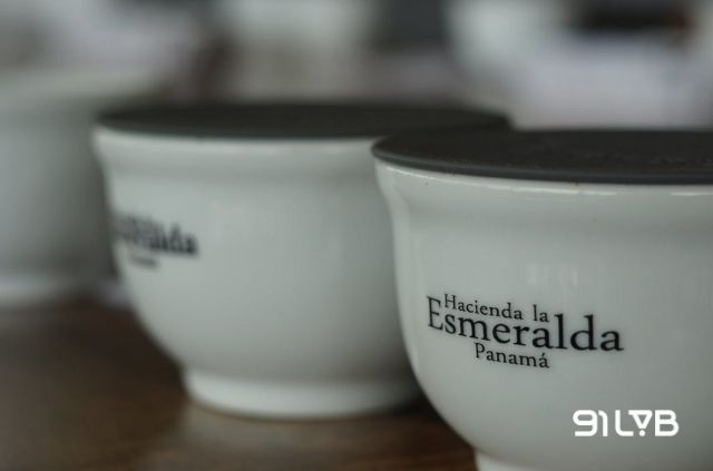 Lô hạt Geisha từ nông trại Hacienda La Esmeralda xuất sắc giành ngôi quán quân tại giải Best of Panama