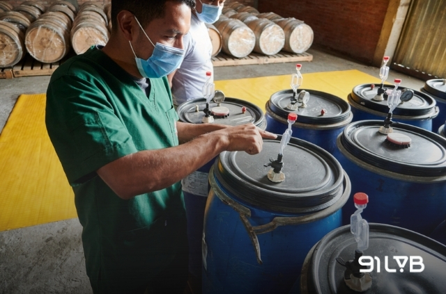 Sơ chế ngâm ủ carbonic (Carbonic Maceration)