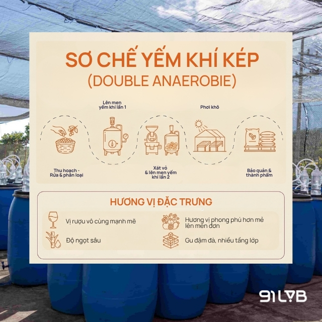 Sơ chế yếm khí kép (Double Anaerobic)