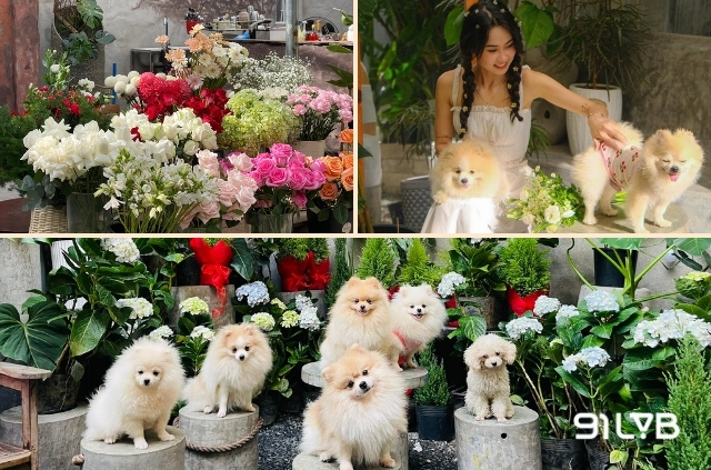 Pom Coffee đích thị là điểm dừng chân hoàn hảo cho những “con sen”
