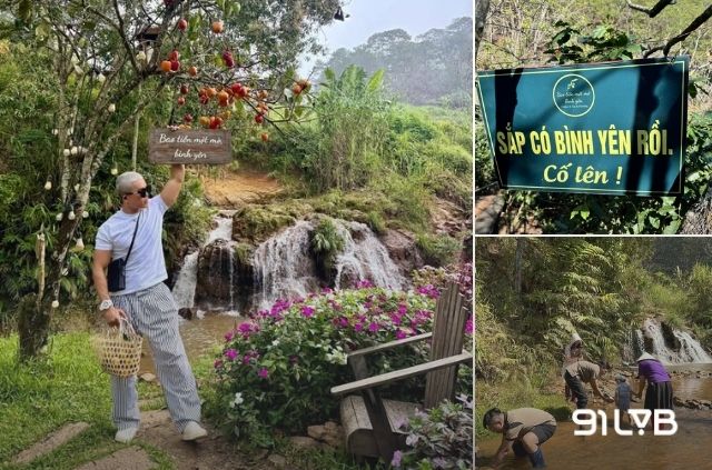 Bao tiền một mớ bình yên là một thung lũng trải rộng 2ha giữa rừng thông xanh mát.