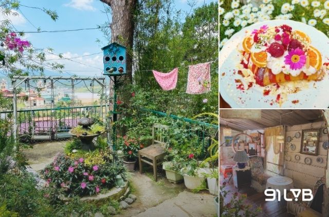 Dưới Tán Thông Già là một quán cà phê đẹp ở Đà Lạt mang đậm hơi thở “cottagecore” lãng mạn