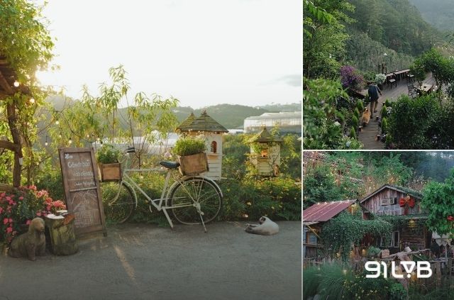 Nhà Bên Rừng là tổ hợp tiệm cà phê và homestay mang tông nâu trầm ấm.