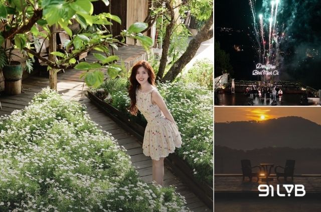 Tiệm cà phê Bình Minh Ơi là một quán cà phê đẹp ở Đà Lạt sở hữu góc nhìn bao trọn cả thiên nhiên lẫn thành phố từ trên cao.