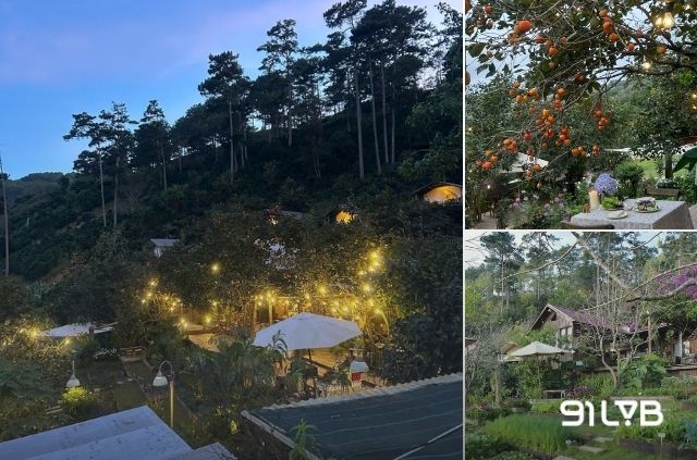 Nắng Thủy Tinh là mô hình tổ hợp glamping kết hợp không gian thưởng thức cà phê mộc mạc