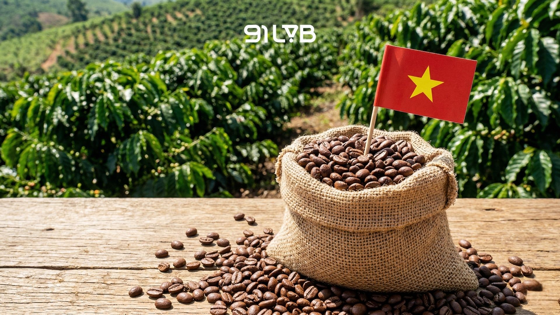 Cà phê Việt Nam xuất khâu đi đâu?