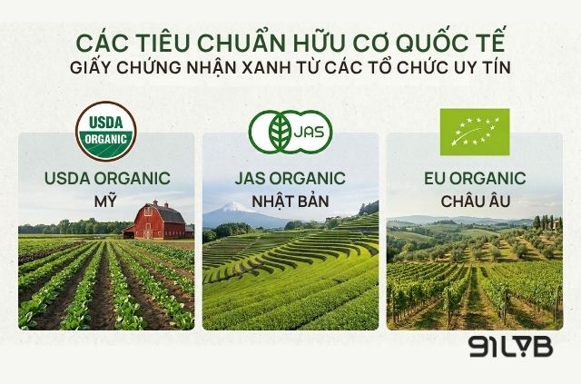 Lựa chọn cà phê có chứng nhận là cách thông minh để bảo vệ sức khỏe gia đình bạn