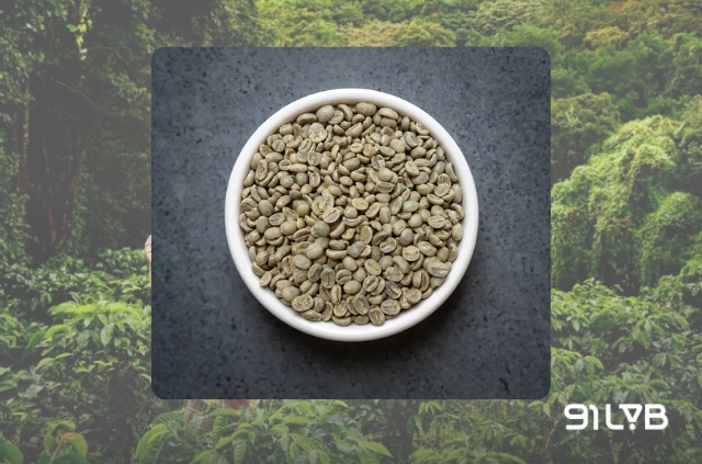Hạt nhân xanh đạt tiêu chuẩn siêu cứng (Strictly Hard Bean - SHB)