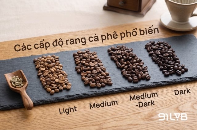 4 cấp độ rang phổ biến làm nên dải hương vị đa dạng của cà phê
