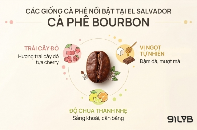 Bourbon đóng vai trò là một trong những giống Arabica lâu đời và được trồng rộng rãi nhất ở El Salvador