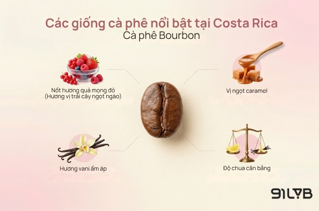 Giống cà phê Bourbon