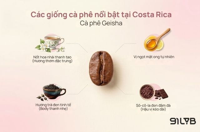 Giống cà phê Geisha