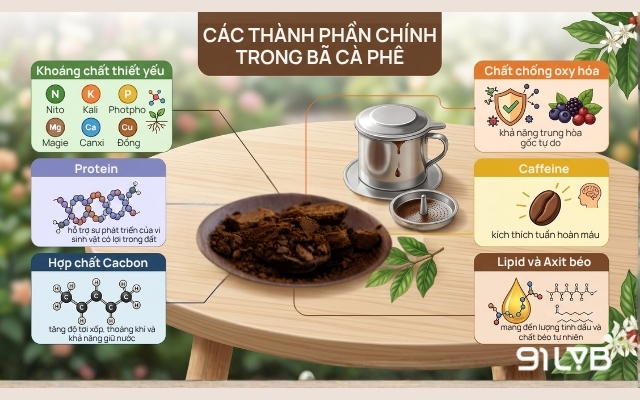 Bã cà phê không đơn thuần là rác thải mà là một tổ hợp các hợp chất hữu cơ và khoáng chất